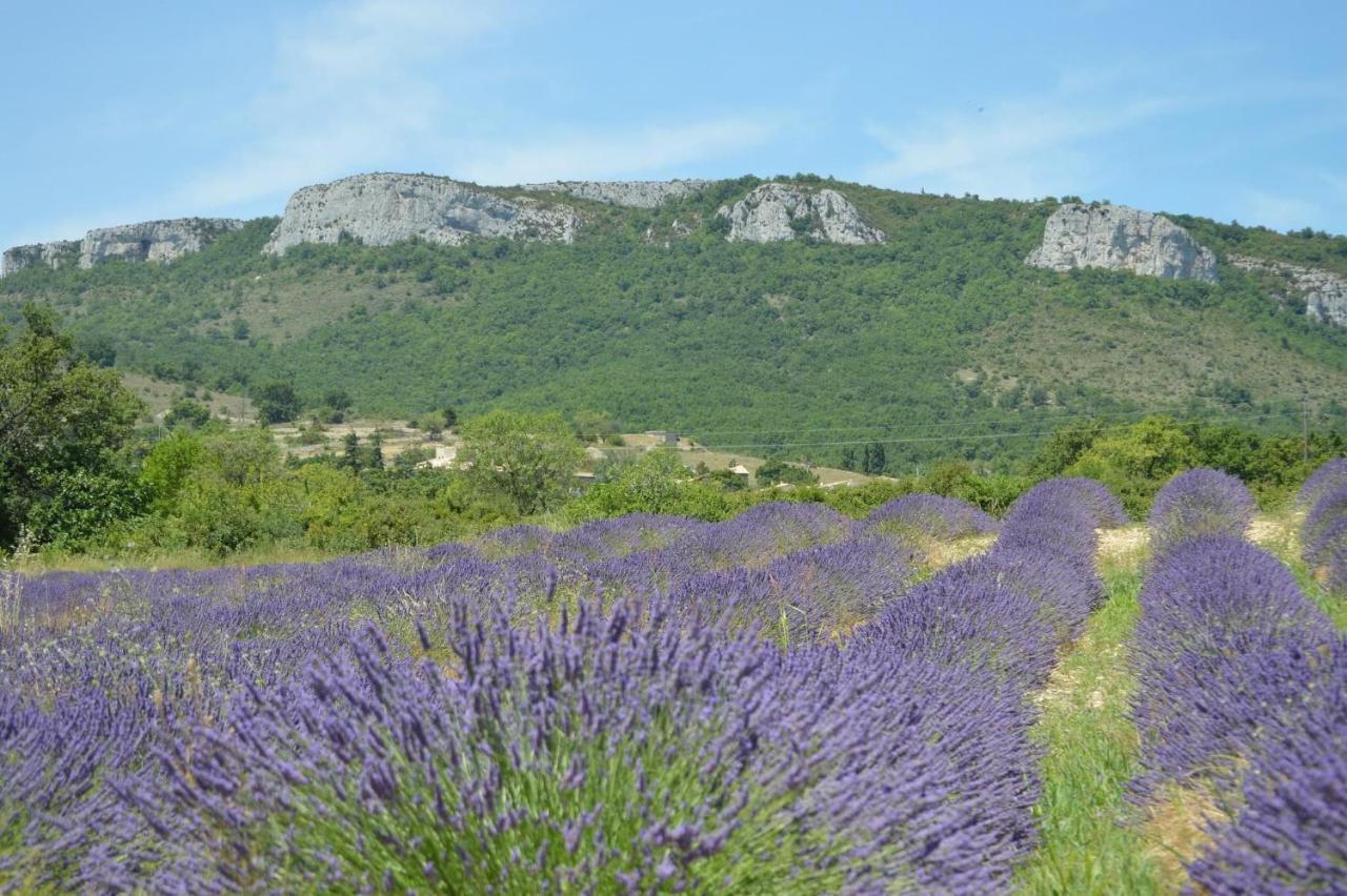 La Petite Maison En Pierres Gras Dış mekan fotoğraf