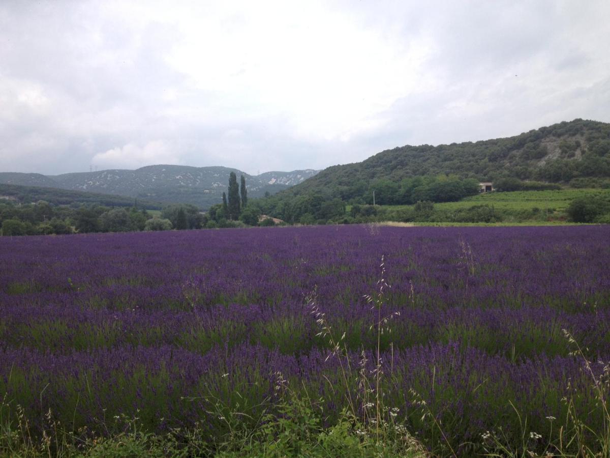 La Petite Maison En Pierres Gras Dış mekan fotoğraf